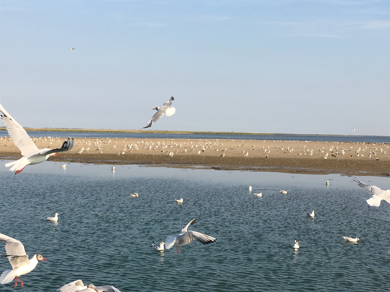 Фото Ігоря Пирогова
